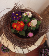 IMG_20260328_093007.jpg