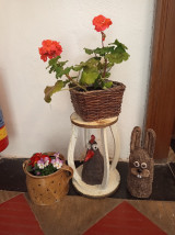 IMG_20260328_093021.jpg