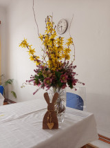 IMG_20260328_093055.jpg